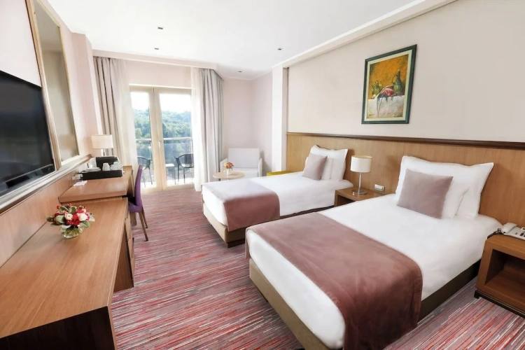 1 Bedroom Superior Double room