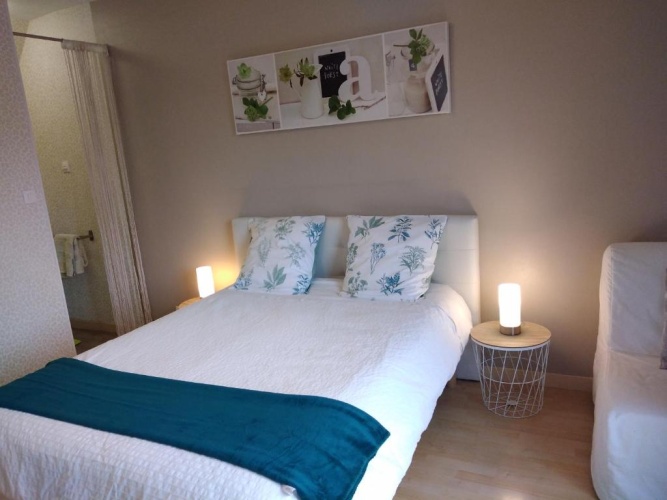 Standard Double room with balcony and with view