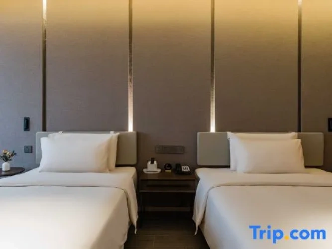 Superior Double room with street view
