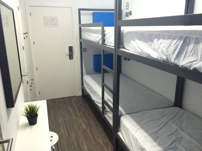 Chameleon Hostel