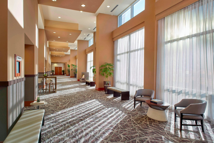 Raleigh Marriott City Center photo 16