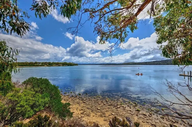 Swan Cove
