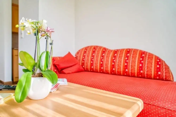 Family Apartment