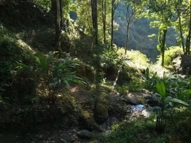 Tieedi Earthy Dwelling