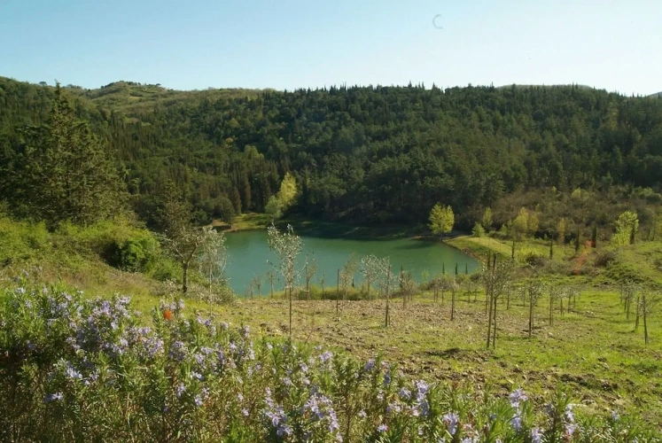 2 Bedrooms Cottage with lake view