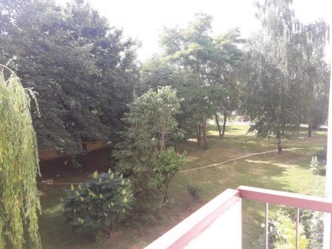 1 Bedroom Double Apartment