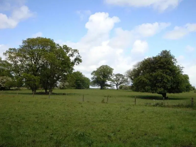 St Anne's Bed & Breakfast