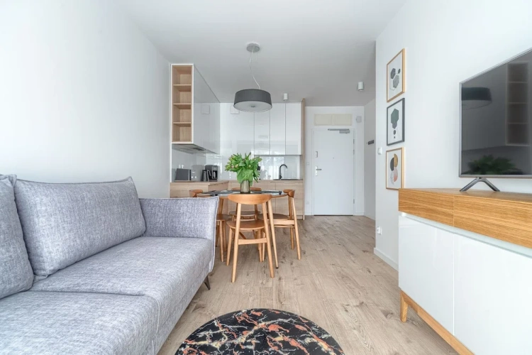 Comfort Apartment