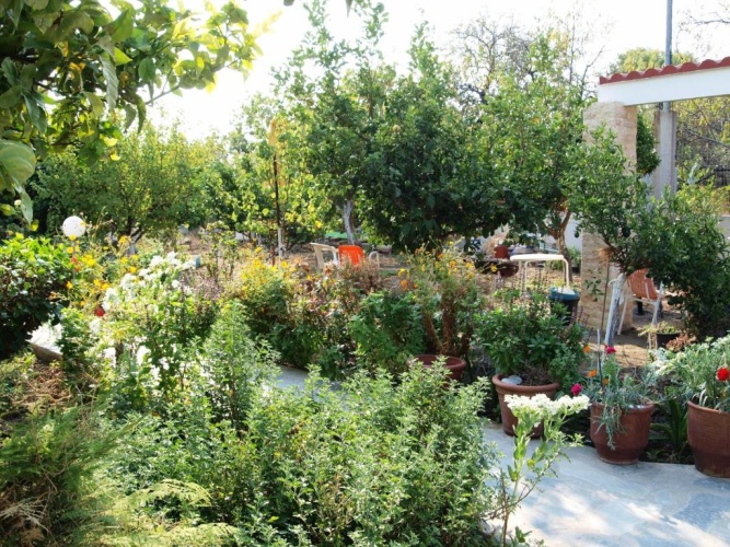 Standard Double room with garden view