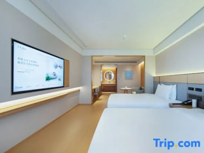 Twin Suite