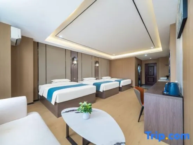 Premier Triple room