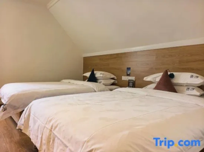 Economy Double room