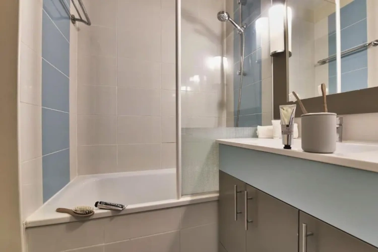 1 Bedroom Standard Apartment