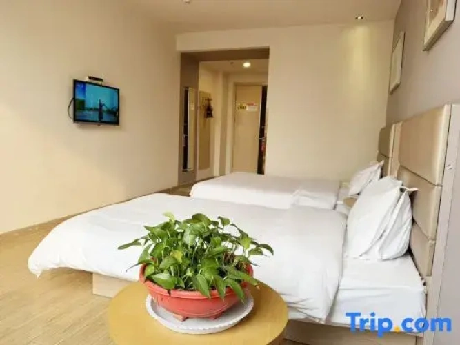 Standard Double Family room