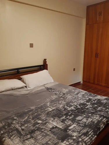 Economy Apartment