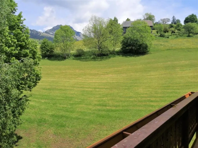 1 Bedroom Apartment with balcony