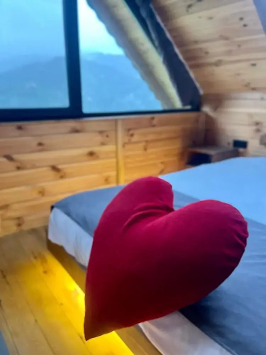 Relax Dağ Evleri