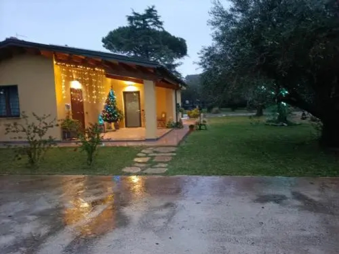 L'Antico Vigneto