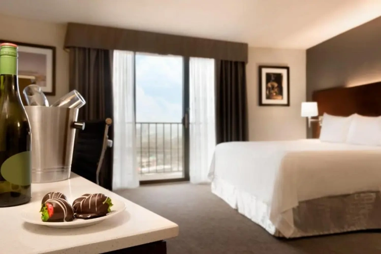 Premium Double room with balcony and with city view