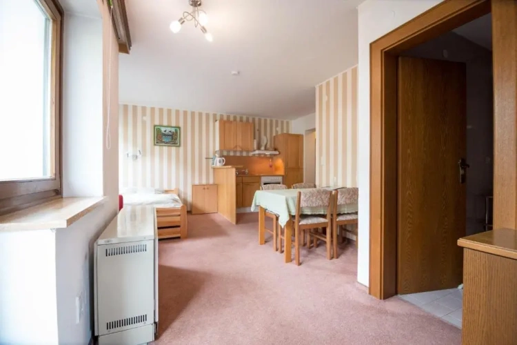 1 Bedroom Apartment with balcony