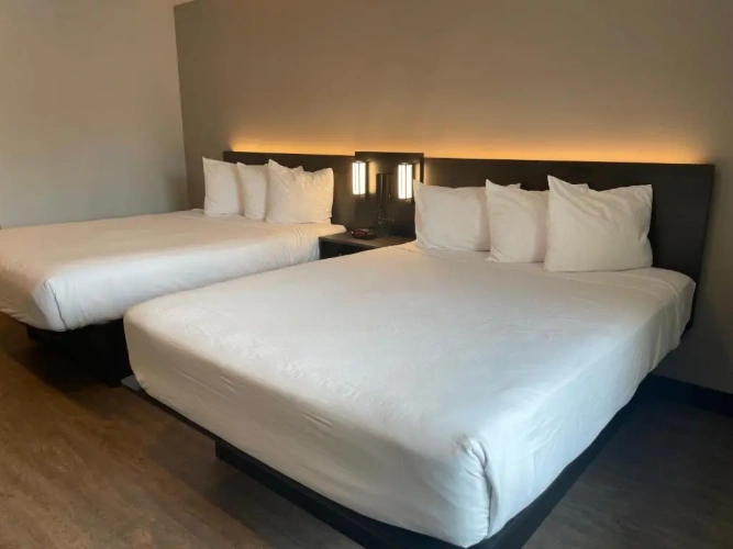 Double Suite