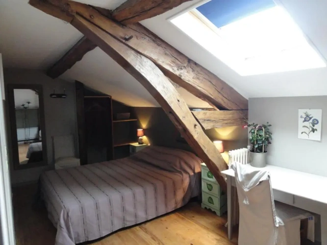 Standard Double room with garden view