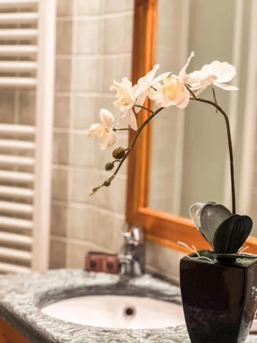 Green Park Studio Courmayeur