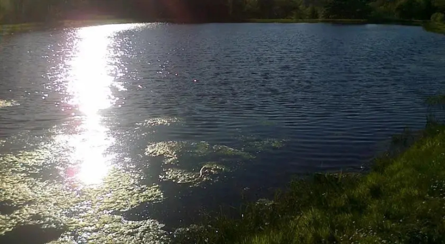 Cashel Lake View Bed and Breakfast