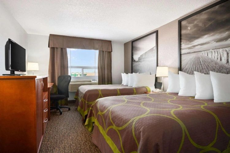 Standard Quadruple room