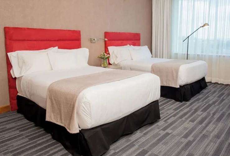 Executive Twin room
