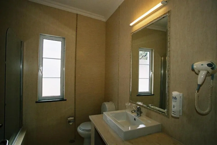 Standard Twin room with view