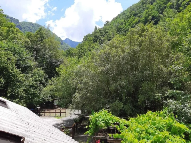 1 Bedroom Standard Double room with view