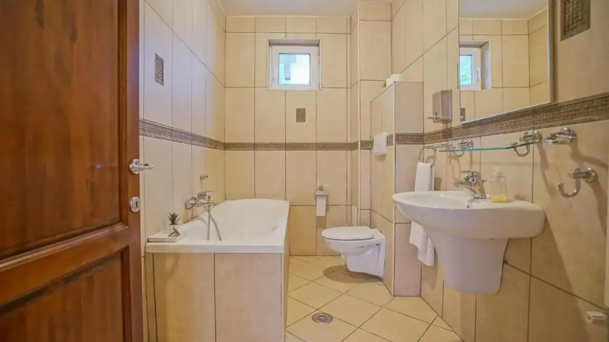 TreeZ Hostel