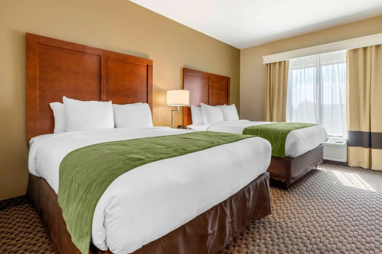 Quadruple Suite