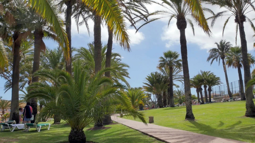 Abora Interclub Atlantic By Lopesan Hotels photo 27