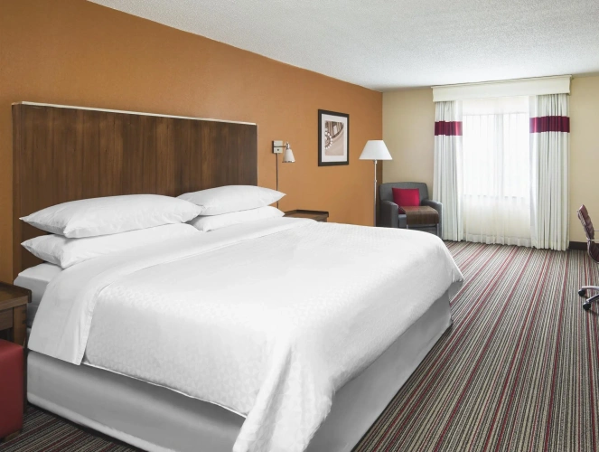 1 Bedroom Double Suite