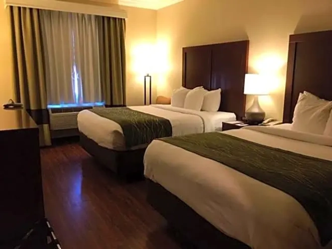 Quadruple Suite