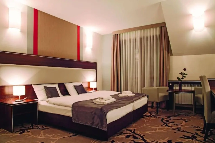 Standard Single room with balcony and with view