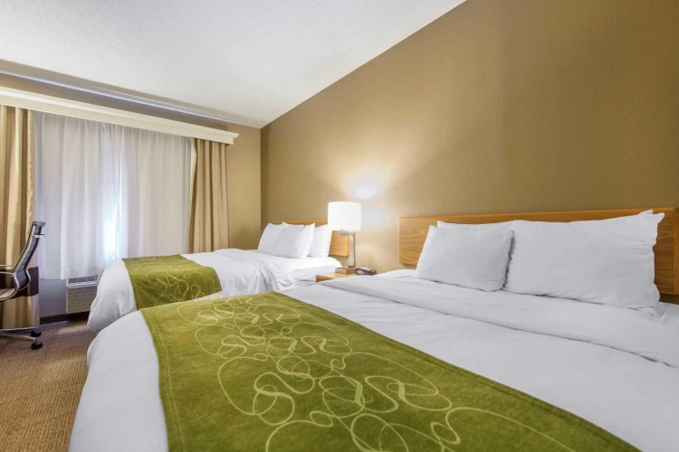 Double Suite