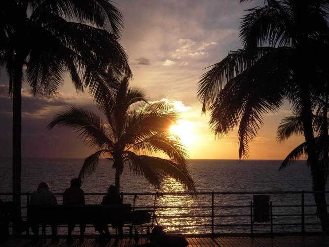 Dos Palmeras