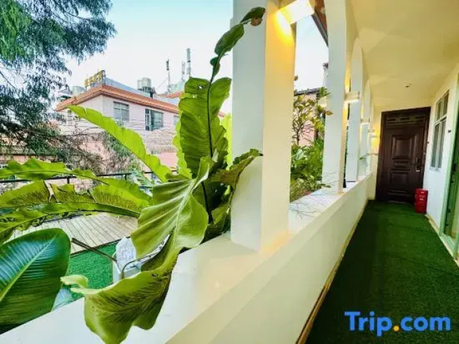 Mountain Pool and Cloud Realm Homestay Hotel