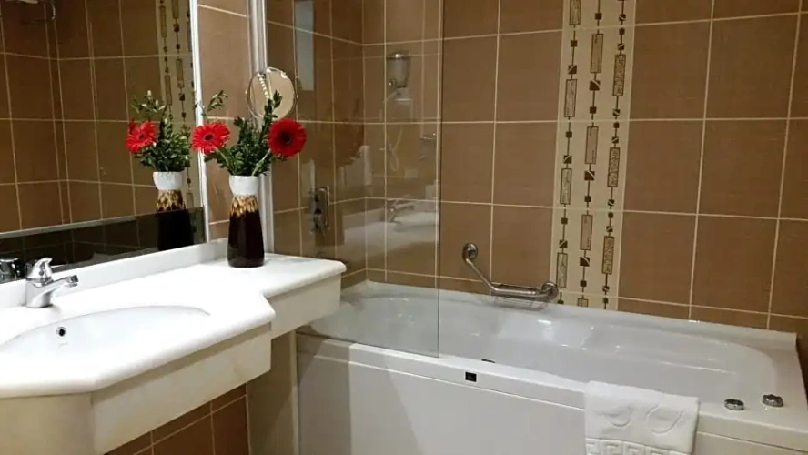 Deluxe Double room with view