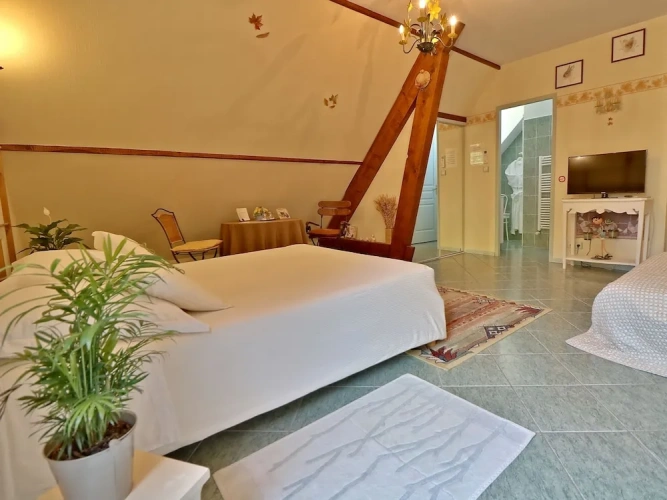 Comfort Double room with balcony