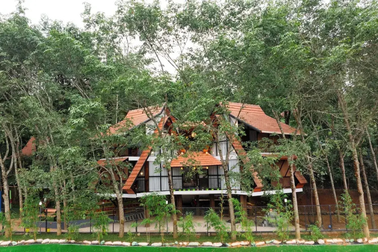Wayanad Vista Palm View Homes