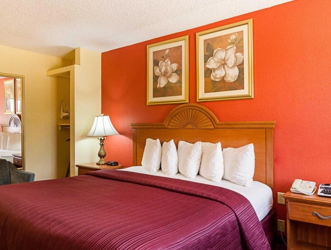 1 Bedroom Standard Double room
