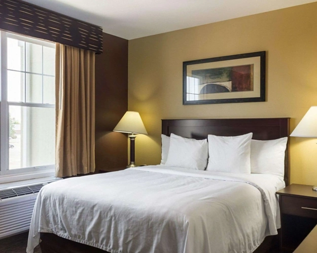Efficiency Double Suite