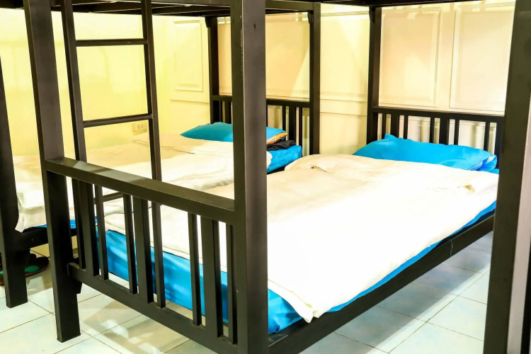 True Hostel