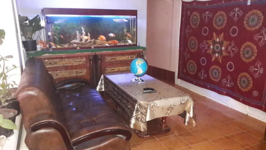 B&B Bahodir