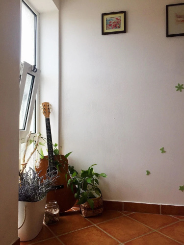 Apartments Mirela