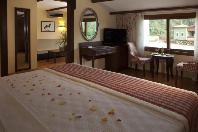 Duplex Suite with view